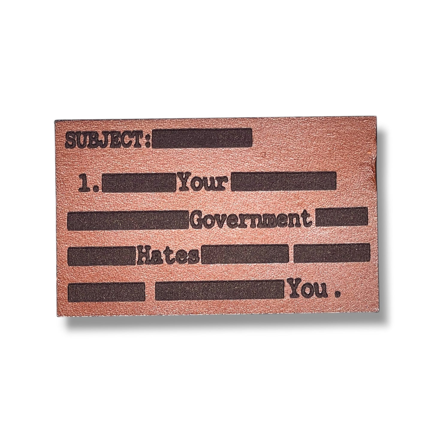 Your Government Hates You