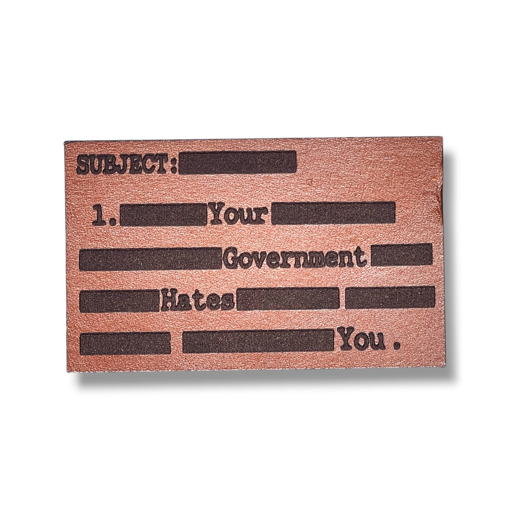 Your Government Hates You